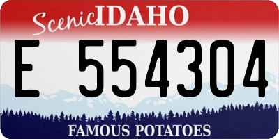 ID license plate E554304