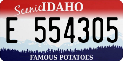 ID license plate E554305