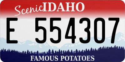 ID license plate E554307