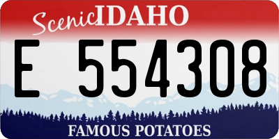 ID license plate E554308