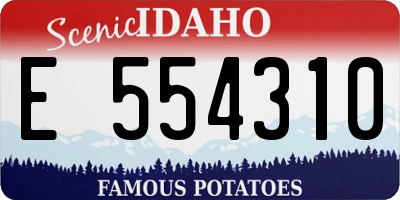ID license plate E554310