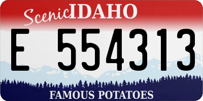 ID license plate E554313