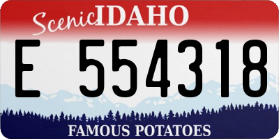 ID license plate E554318