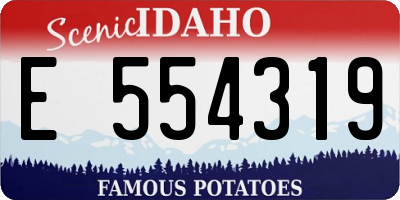 ID license plate E554319