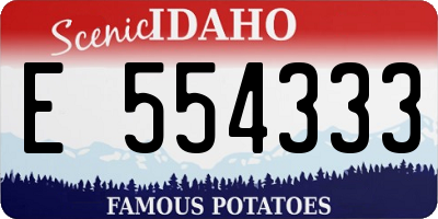 ID license plate E554333
