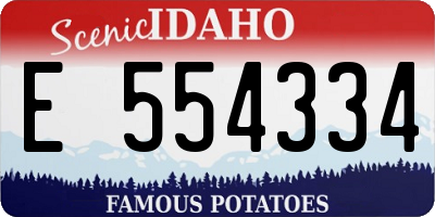 ID license plate E554334