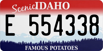 ID license plate E554338