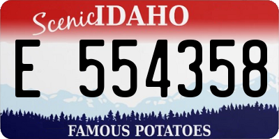 ID license plate E554358