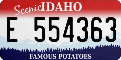 ID license plate E554363