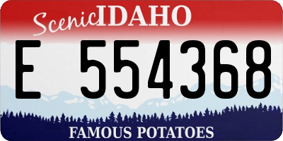 ID license plate E554368
