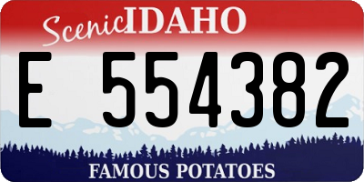 ID license plate E554382