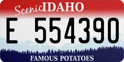 ID license plate E554390