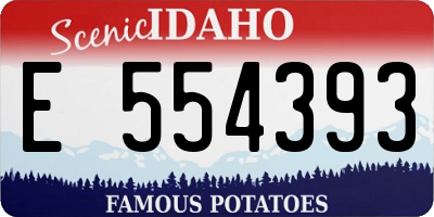 ID license plate E554393
