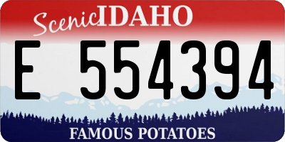 ID license plate E554394
