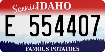 ID license plate E554407