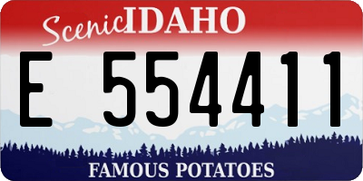 ID license plate E554411