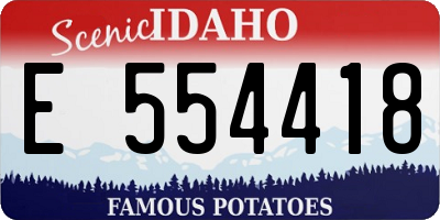 ID license plate E554418