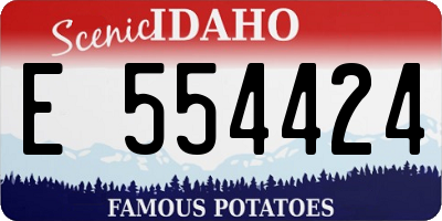 ID license plate E554424