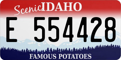 ID license plate E554428