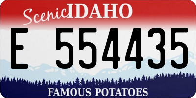 ID license plate E554435