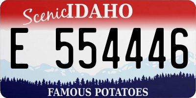 ID license plate E554446
