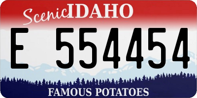 ID license plate E554454