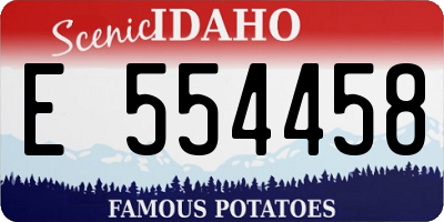 ID license plate E554458