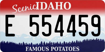 ID license plate E554459