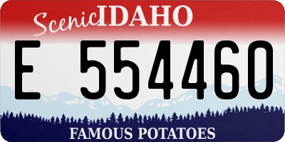 ID license plate E554460