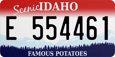 ID license plate E554461