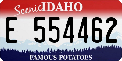 ID license plate E554462