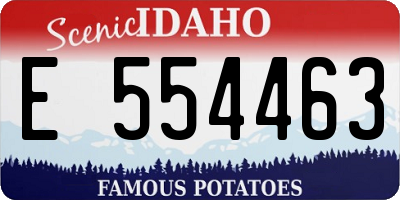 ID license plate E554463