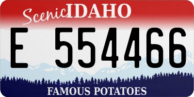 ID license plate E554466