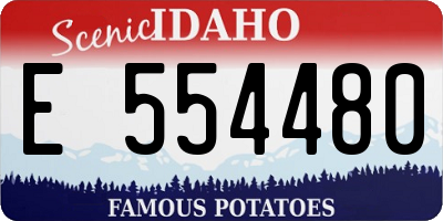 ID license plate E554480