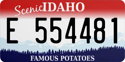 ID license plate E554481