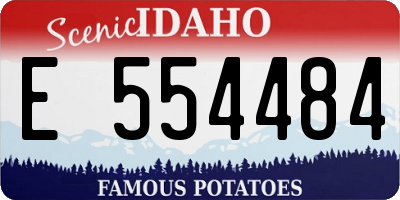 ID license plate E554484