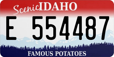 ID license plate E554487