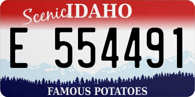 ID license plate E554491