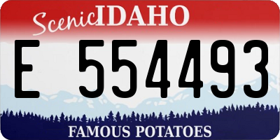 ID license plate E554493