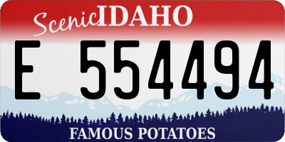 ID license plate E554494