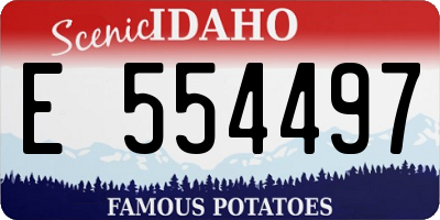 ID license plate E554497