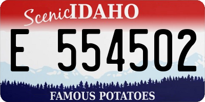 ID license plate E554502