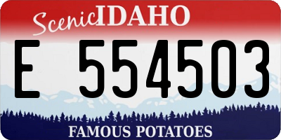 ID license plate E554503