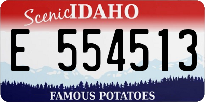 ID license plate E554513