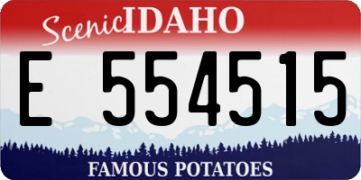 ID license plate E554515