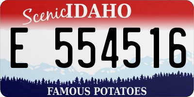 ID license plate E554516