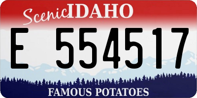 ID license plate E554517