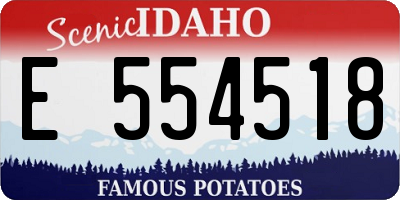 ID license plate E554518