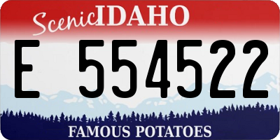 ID license plate E554522