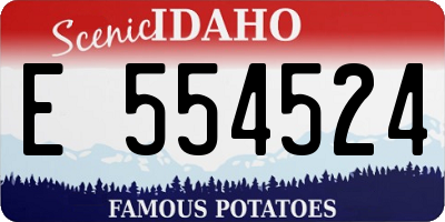 ID license plate E554524